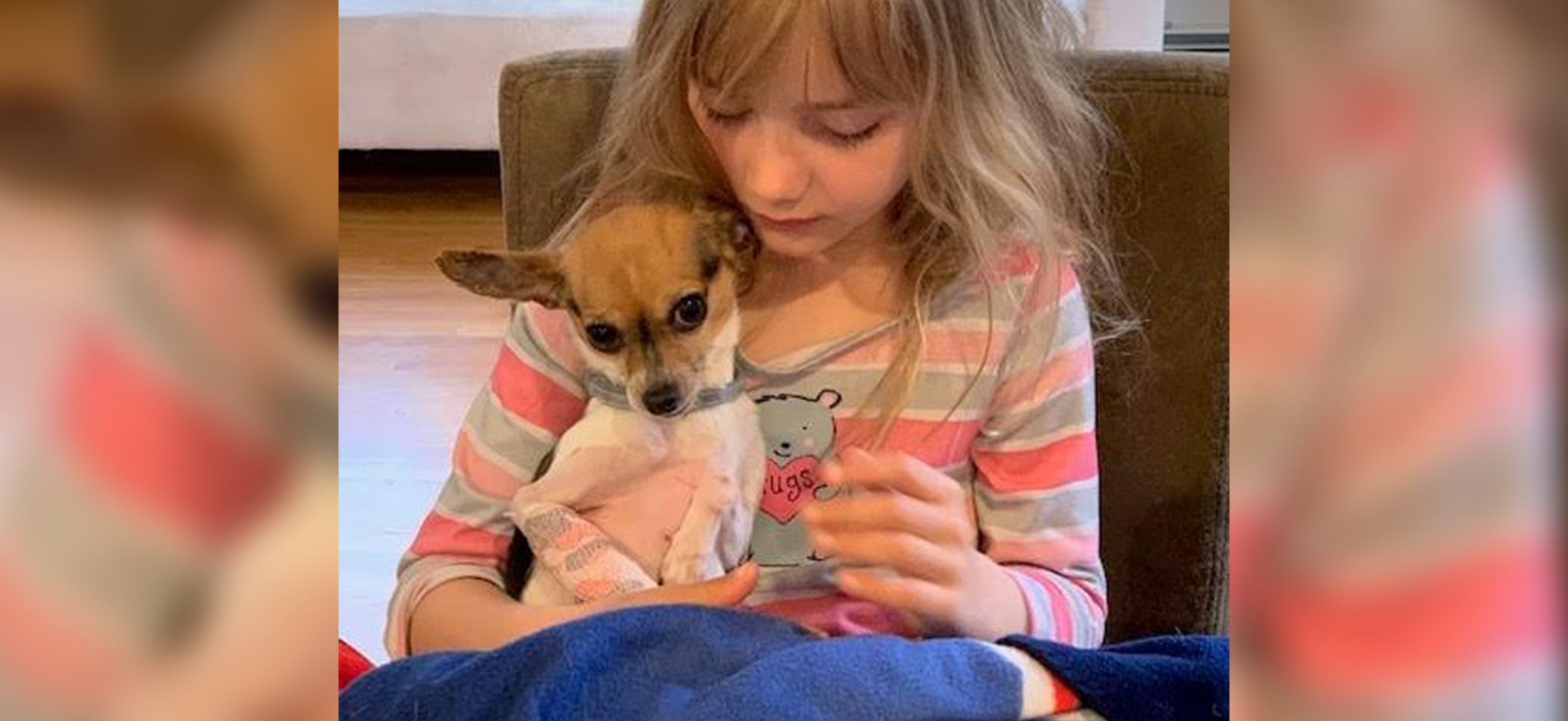 COVID19 Relief PetSmart Charities